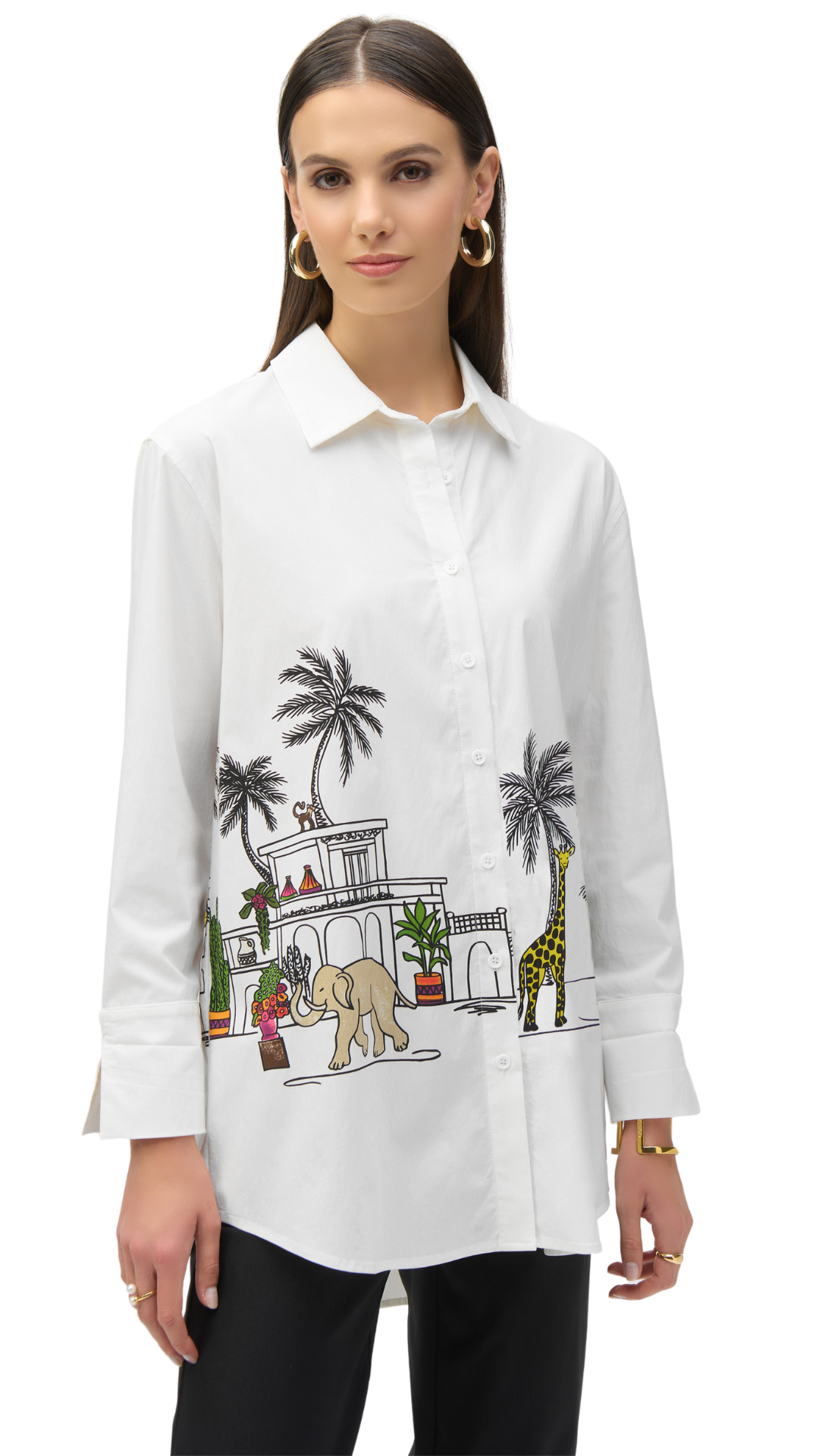 Stretch Poplin Conversational Print Tunic. Style JR252930