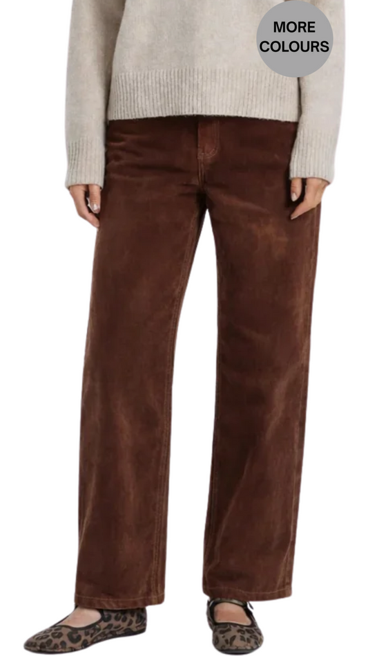 Velvet Coloured Fly Front Straight Leg Jean. Style CARPR-158