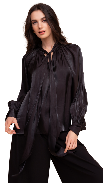 Sheer Shiny Tie Neck Flowy Blouse. Style ALS48203