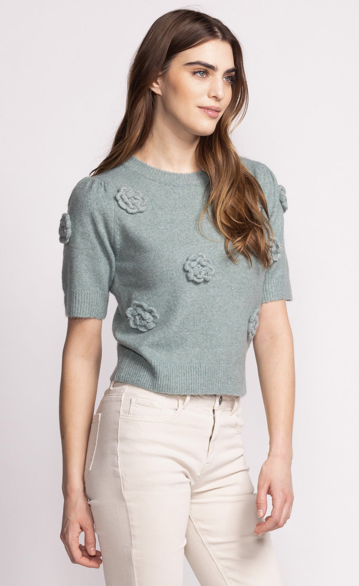 Roslyn  Flower Short Sleeve Sweater. Style PMSW-238187G