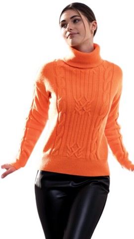 Turtle Neck Knit Sweater. Style ALSA42185