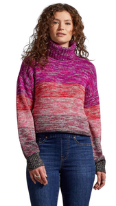 Ombre Knit Turtleneck Sweater. Style TR5307O-4865